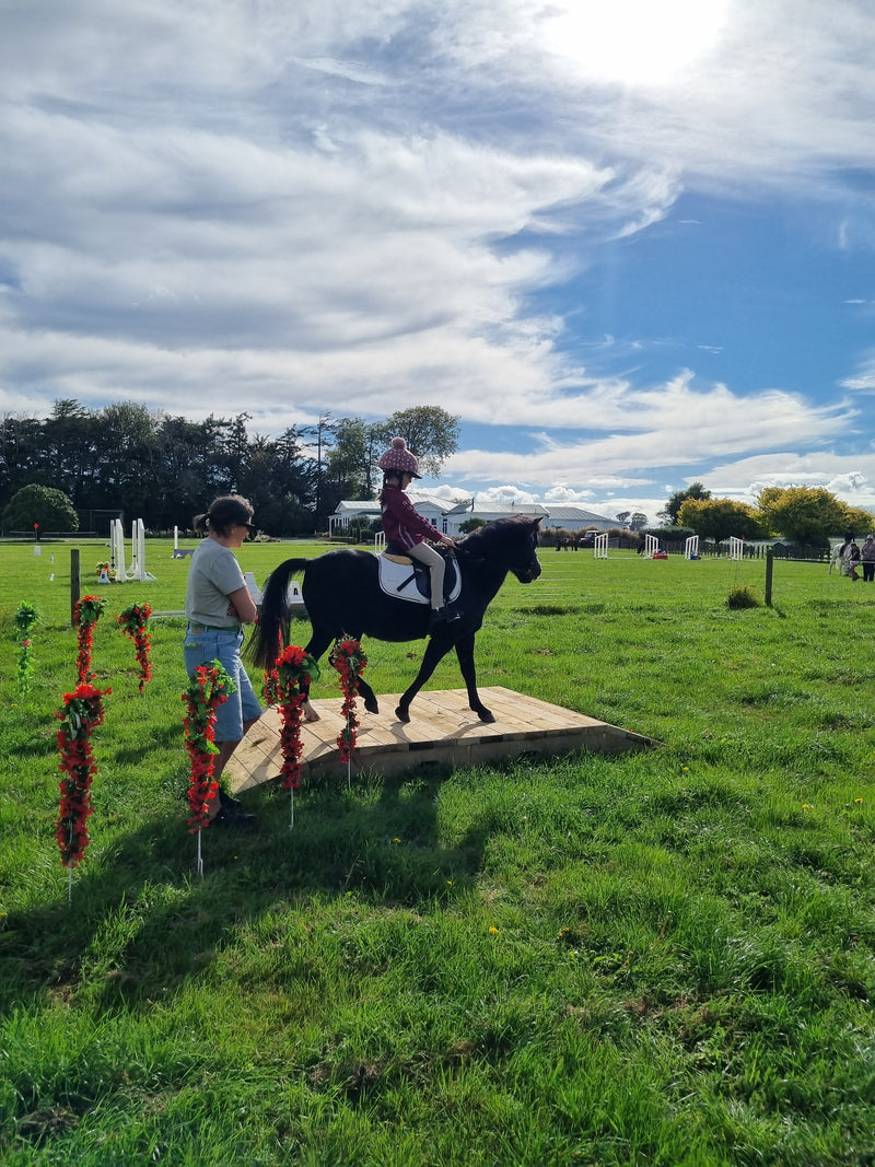 Load image into Gallery viewer, Wooden Working Equitation Bridge
