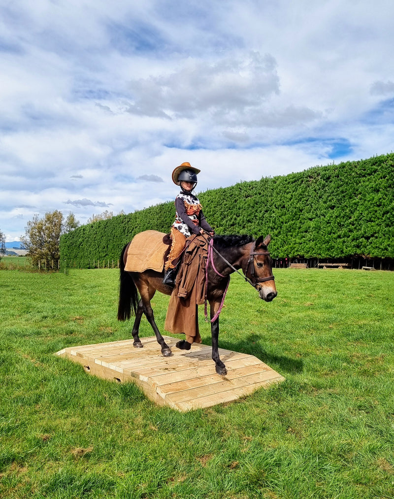 Load image into Gallery viewer, Wooden Working Equitation Bridge
