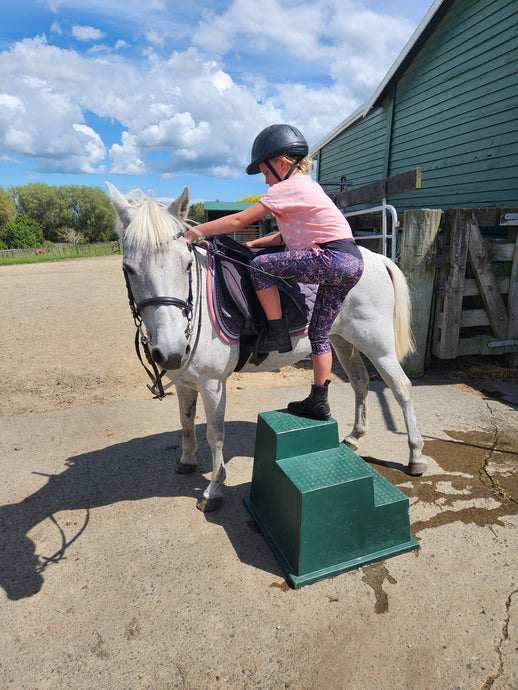 Mounting Block