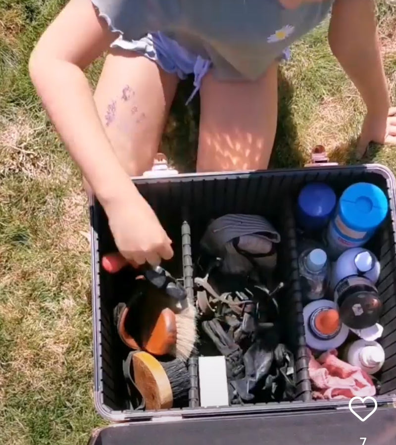 Load image into Gallery viewer, Sport Horse Glam Box Fancy Grooming Box
